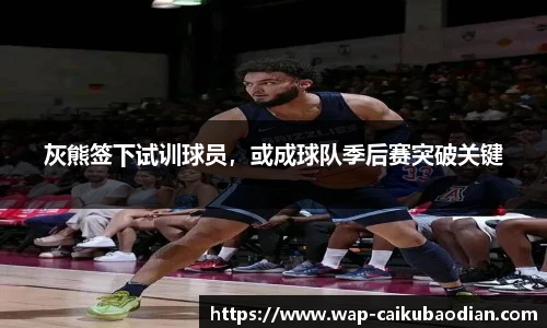 灰熊签下试训球员，或成球队季后赛突破关键