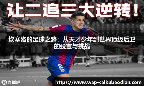 坎塞洛的足球之路：从天才少年到世界顶级后卫的蜕变与挑战