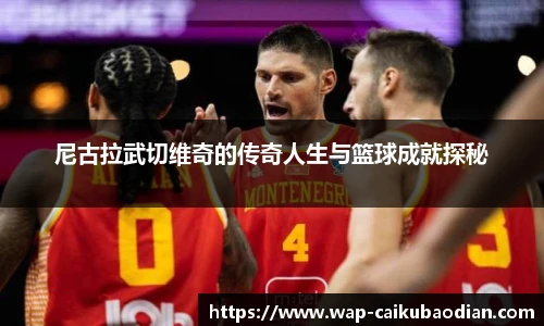 尼古拉武切维奇的传奇人生与篮球成就探秘