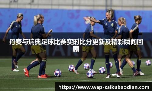丹麦与瑞典足球比赛实时比分更新及精彩瞬间回顾